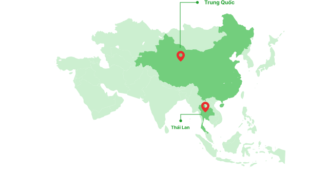 Thị trường xuất khẩu