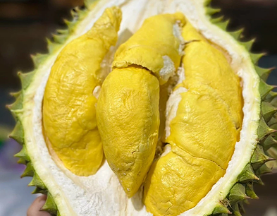 Quê hương của Musang King nhập khẩu sầu riêng Việt Nam để tiêu thụ
