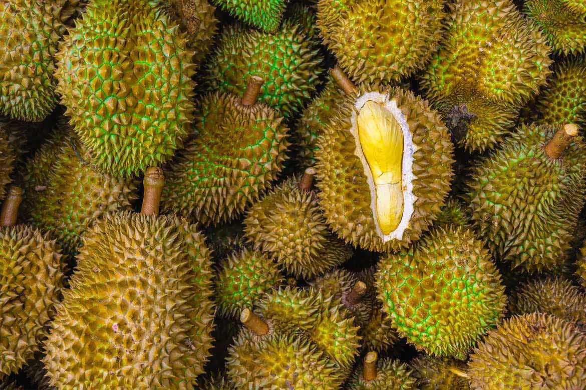 Quê hương của Musang King nhập khẩu sầu riêng Việt Nam để tiêu thụ