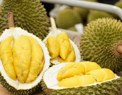 Quê hương của Musang King nhập khẩu sầu riêng Việt Nam để tiêu thụ